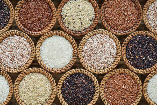 Veeradhaniyam - Natural Products – King of Millets - Sulur, Coimbatore